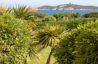 vue du jardin la tour Génoise de Pinarellu