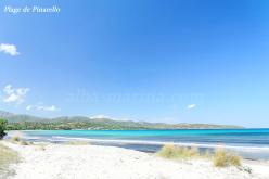 La plage de Pinarello en Corse du sud