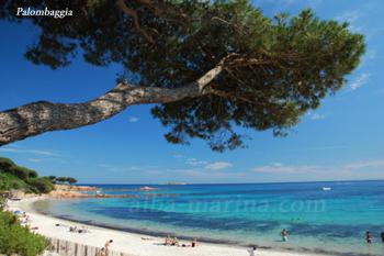 Palombaggia à Porto-Vecchio